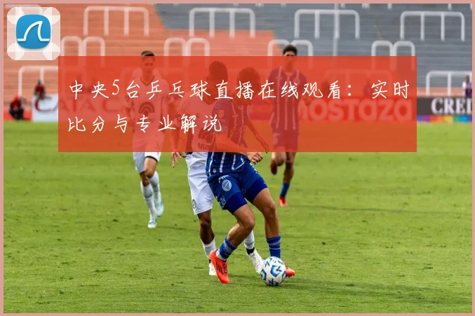 中央5台乒乓球直播在线观看：实时比分与专业解说