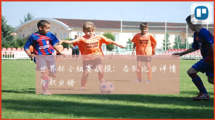 世界杯小组赛战报:各队比分详情与积分榜