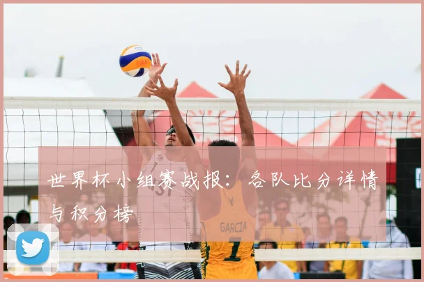 世界杯小组赛战报：各队比分详情与积分榜