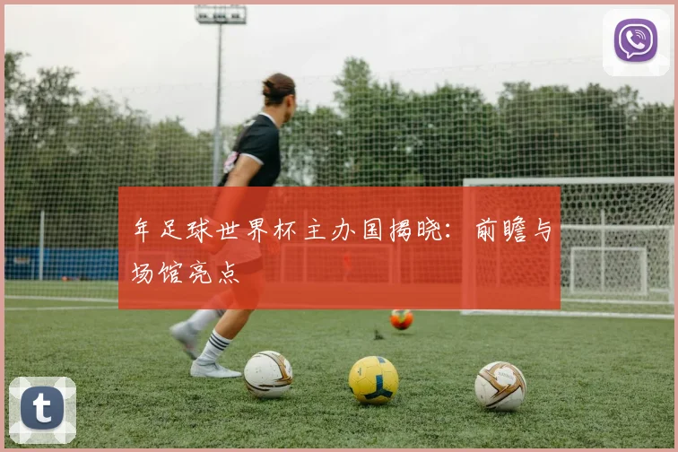 年足球世界杯主办国揭晓:前瞻与场馆亮点