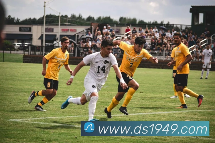 多媒体互动体验